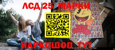 стафф Камышлов