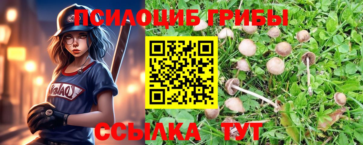 Домодедово  Галлюциногенные грибы MAGIC MUSHROOMS  Вход с VPN 